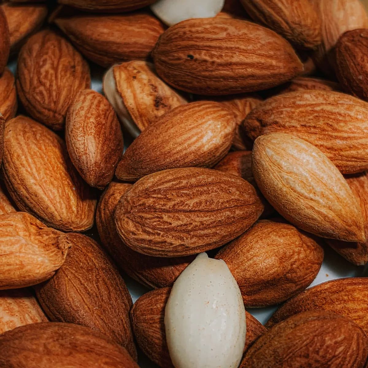 Badam Giri (Without Shell) — photo 2