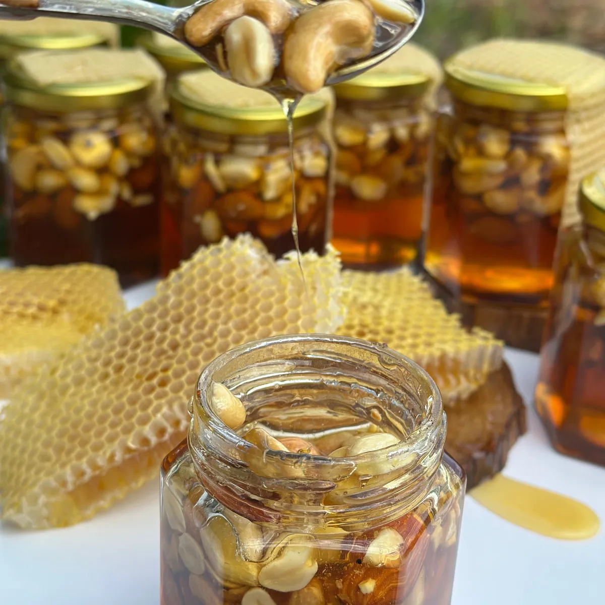 Honey Dry Fruit Mix | Pure Kashmiri Honey | No Added Sugar | Almonds Cashews Pistachios Anjeer Raisins — photo 5