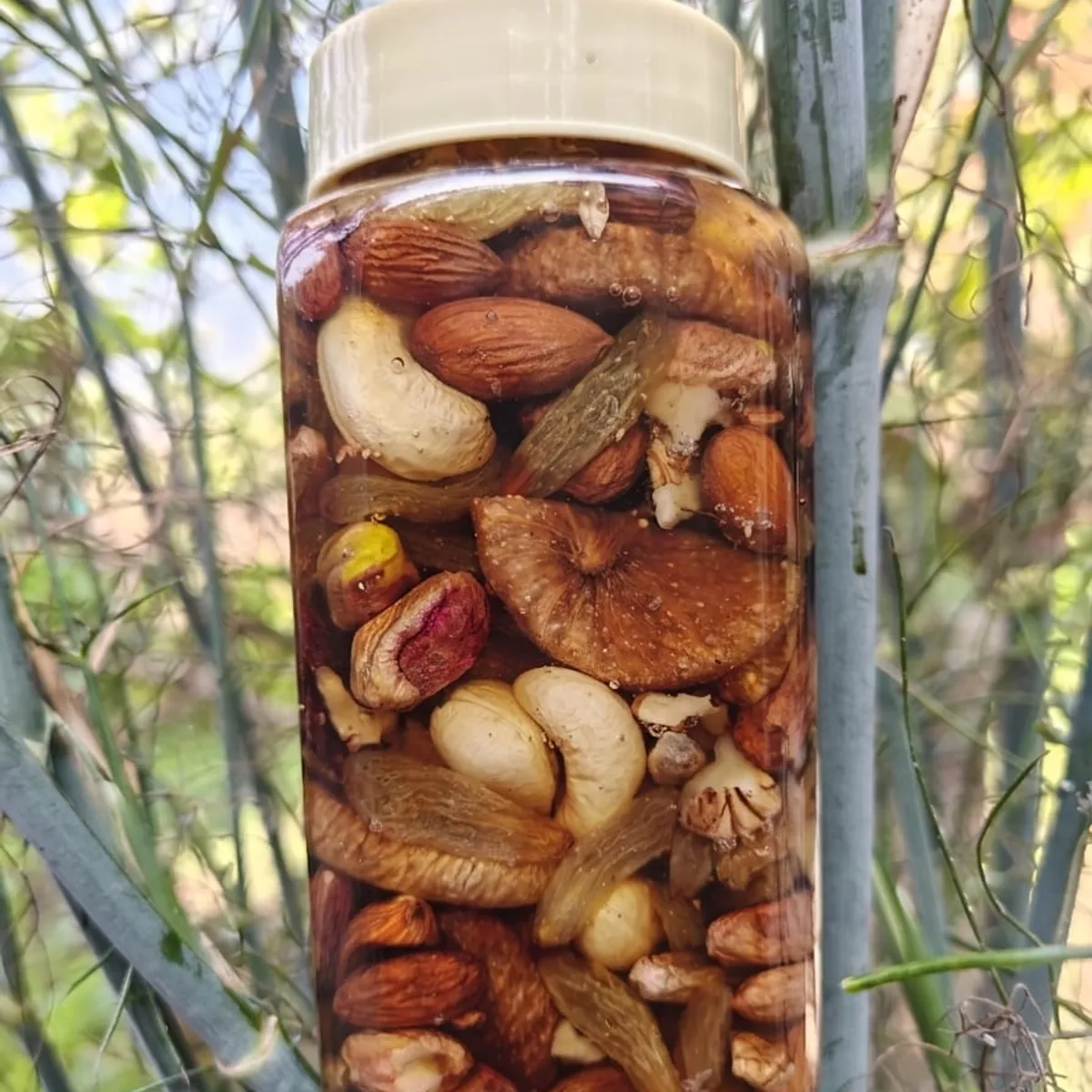 Sidr Honey with Mixed Dry Fruits (Kaju, Mamra Badam, Anjeer, Pista & Walnut)